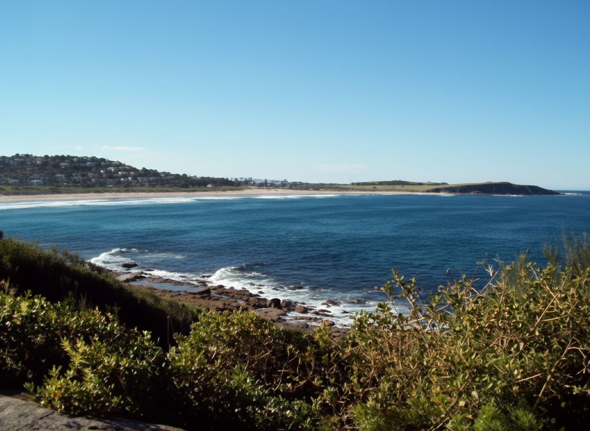 Website design for Dee Why businesses