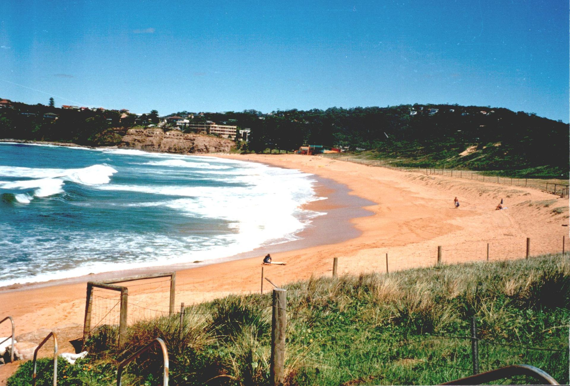Website design for Mona Vale businesses